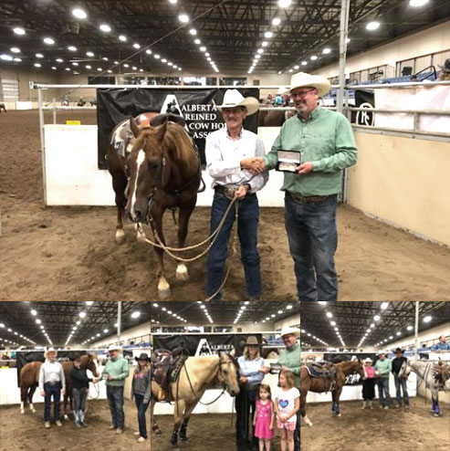 2018 Cats Picasso Buckle Series Winners